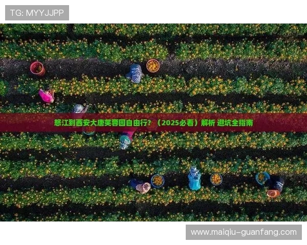 开云官方认证靠谱吗彩票数字高频玩法防骗避坑指南 开云官方认证靠谱吗彩票数字高频玩法防骗避坑指南